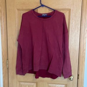 Democracy cranberry sweatshirt